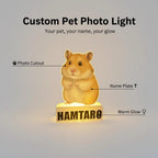 Personalized Pet Photo LED Night Light, Custom Memorial Keepsake